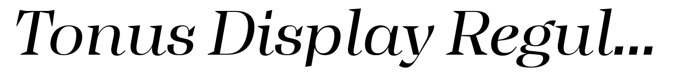 Tonus Display Regular Italic